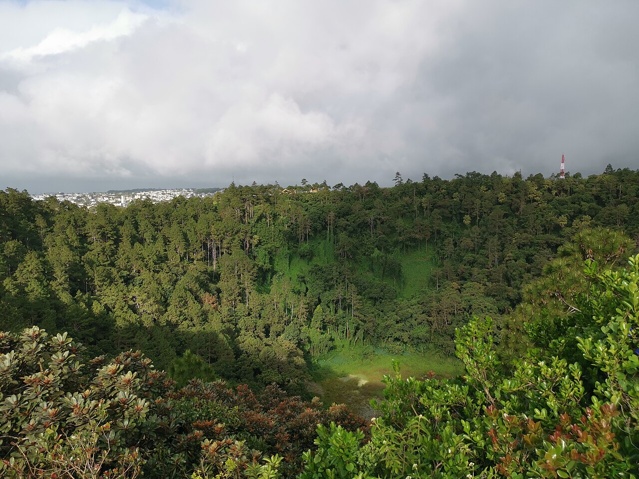 The green Trou aux Cerfs crater in the highlands of Mauritius, with a town in the distance.