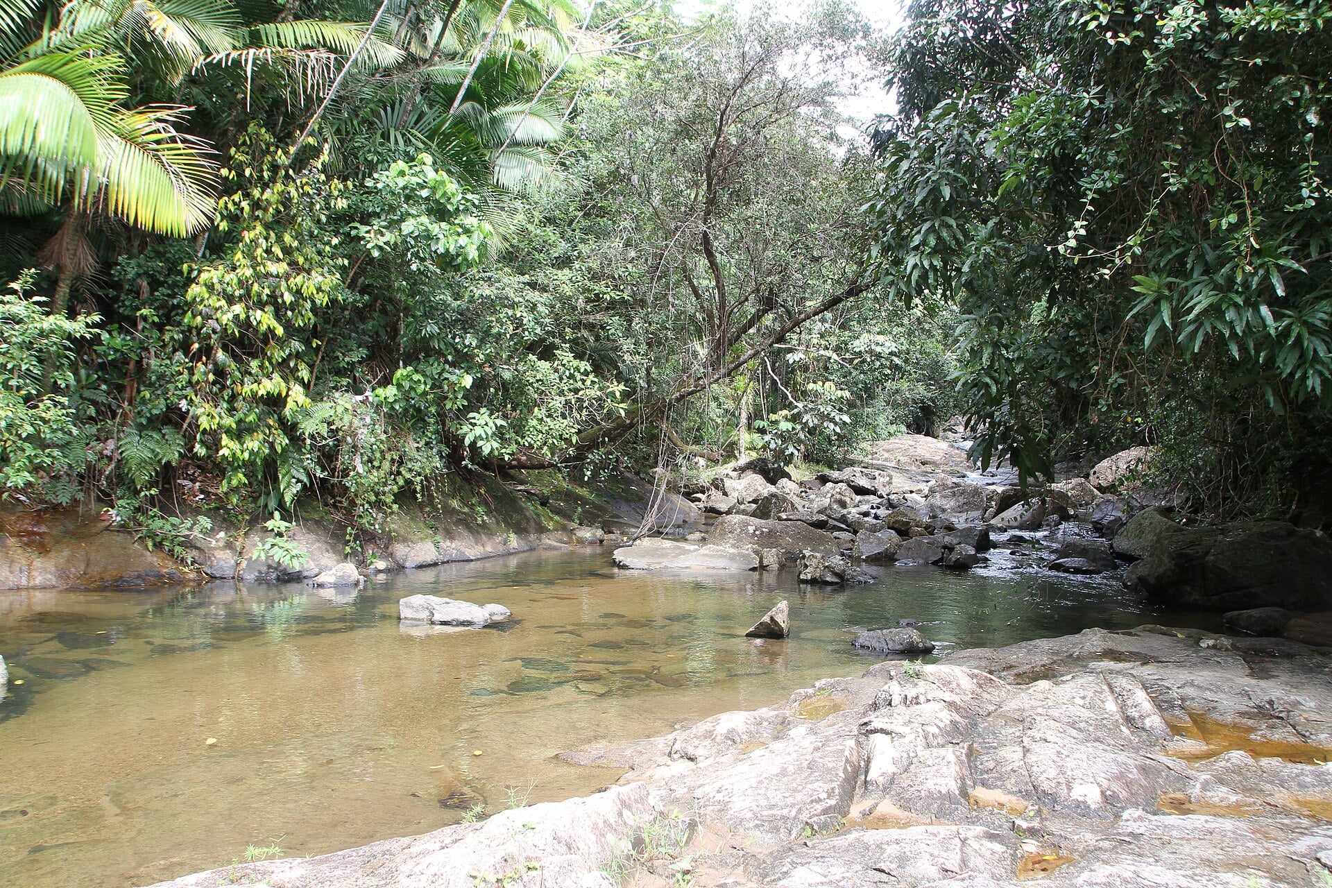 A shallow, clear river pool with smooth boulders and flat rock slabs, surrounded by dense tropical forest and palm fronds