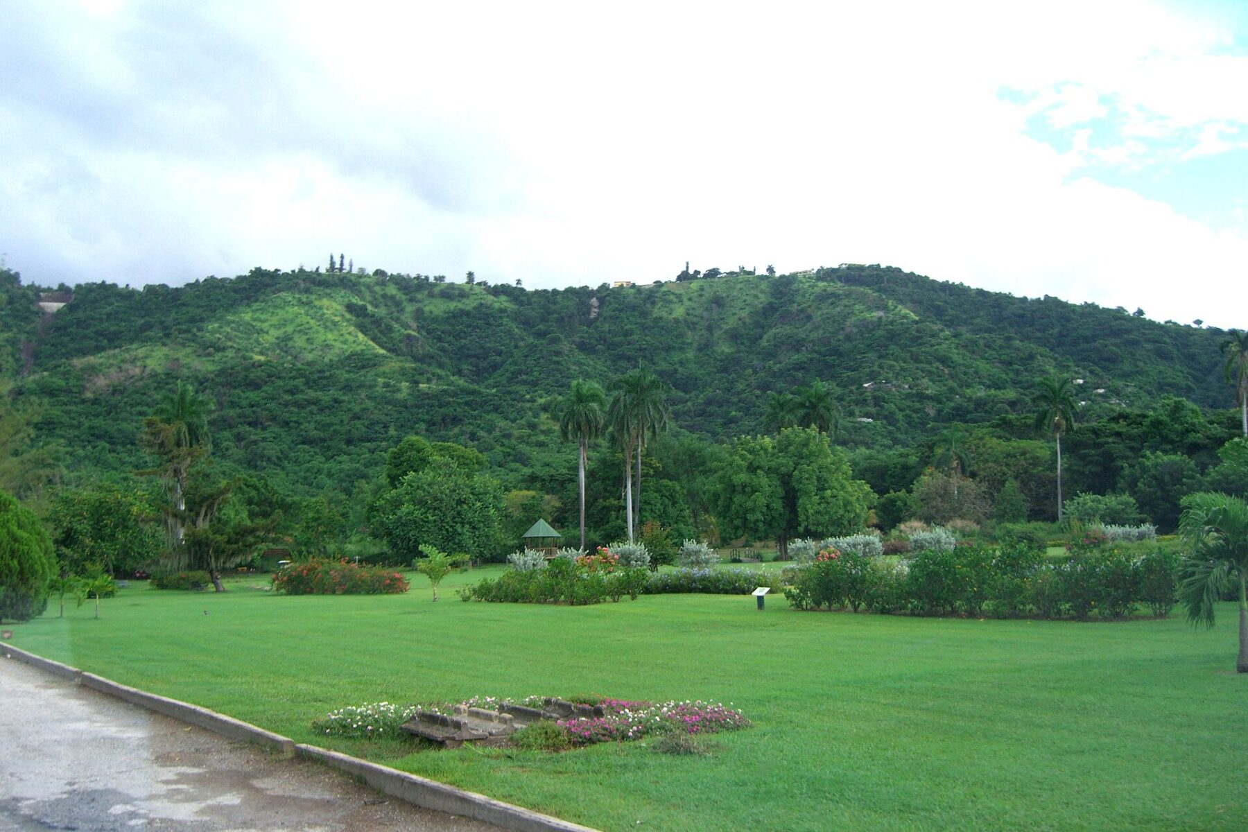 Green hills above the Hope Botanical Gardens in Kingston, Jamaica