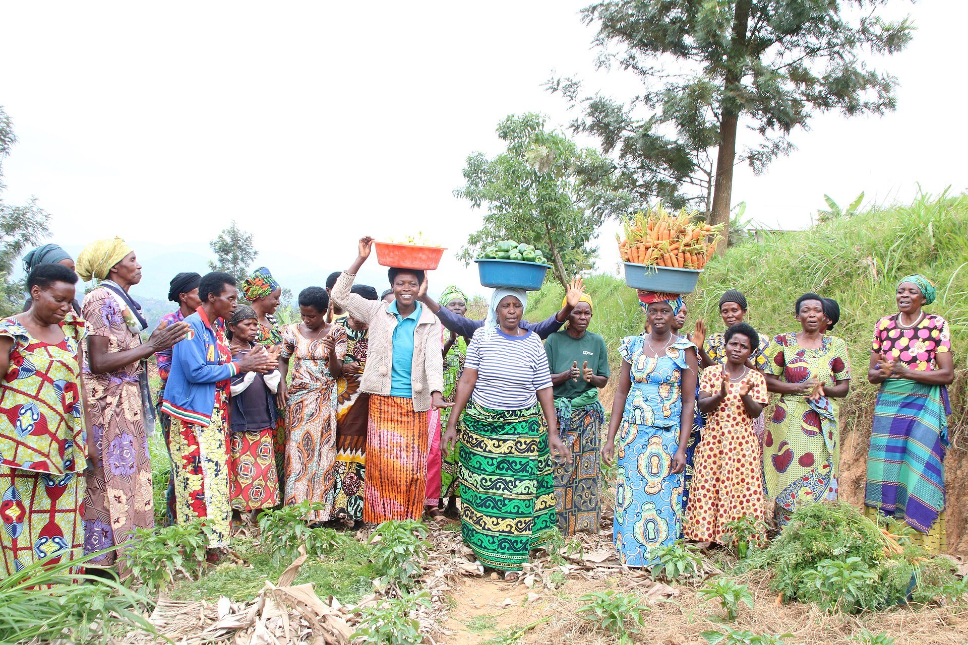 Women at a harvest celebration in Rwanda, in colourful dresses, carry basins of carrots and green peppers on a hillside vegetable plot