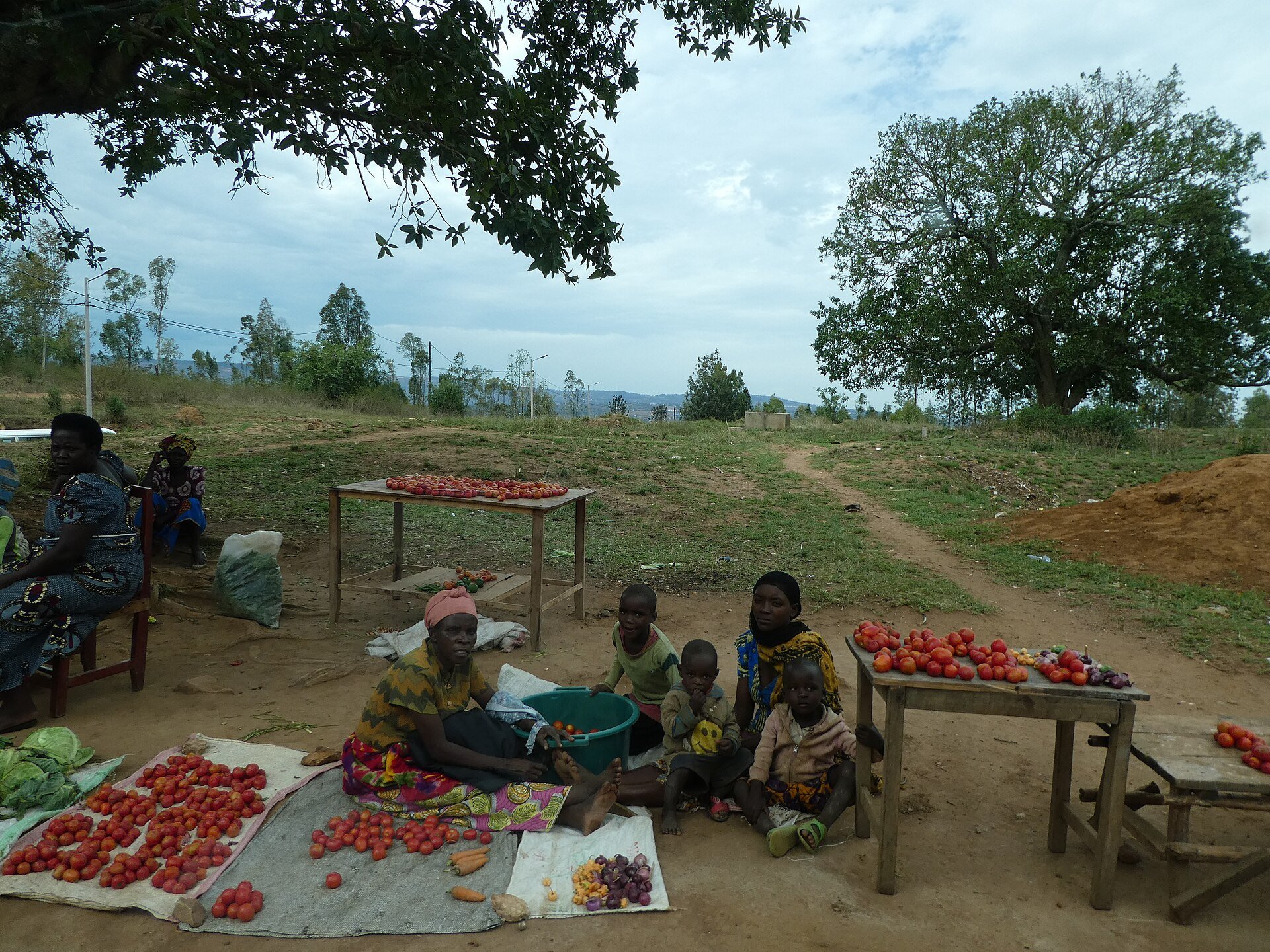 A Rwandan family sits among piles of tomatoes, carrots and cabbages at a roadside vegetable stall with hills behind