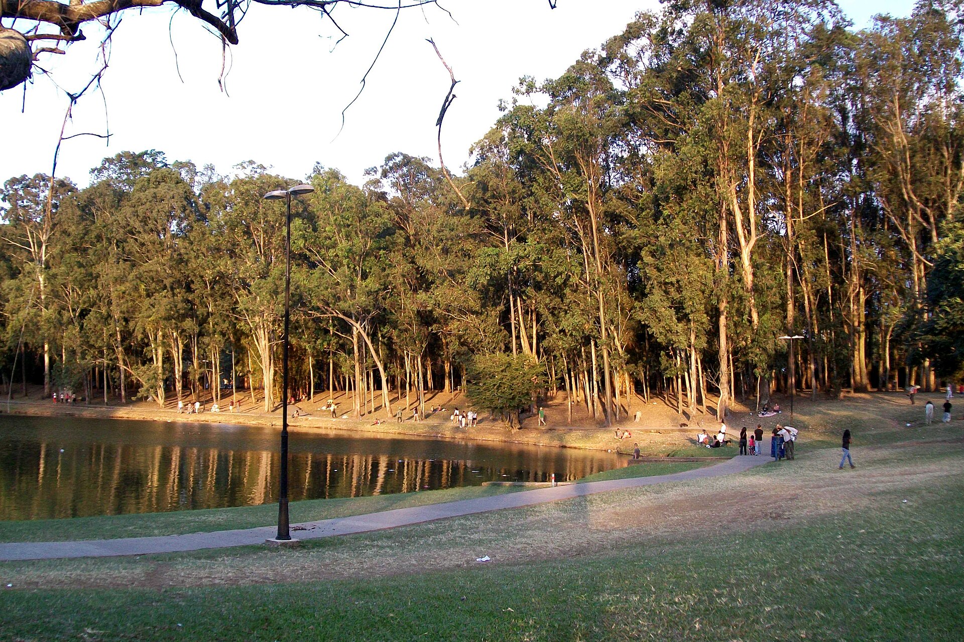 Lake and eucalyptus trees at Parque Metropolitano La Sabana in San José, Costa Rica, beside the Estadio Nacional where the San José Marathon starts and finishes