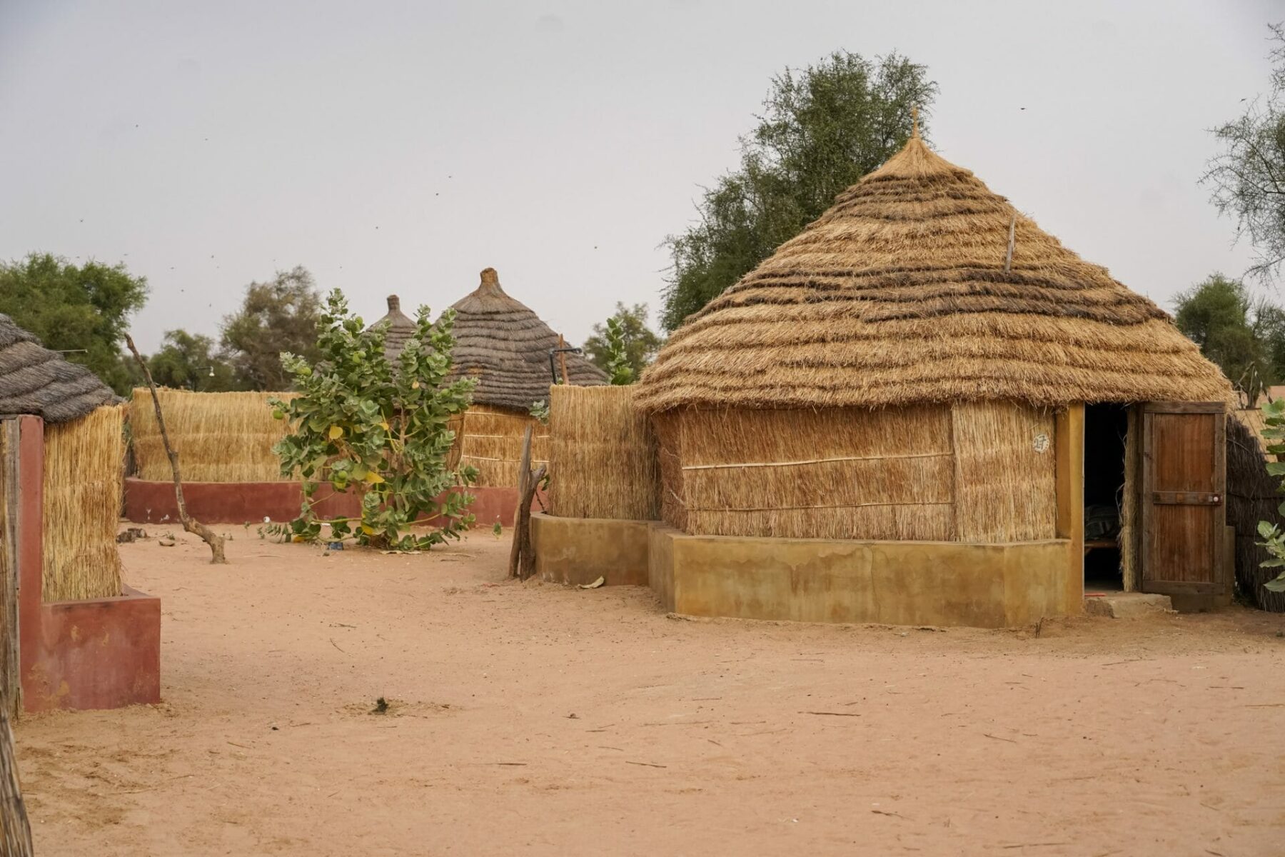 Thatched round houses in a Fula village in Senegal