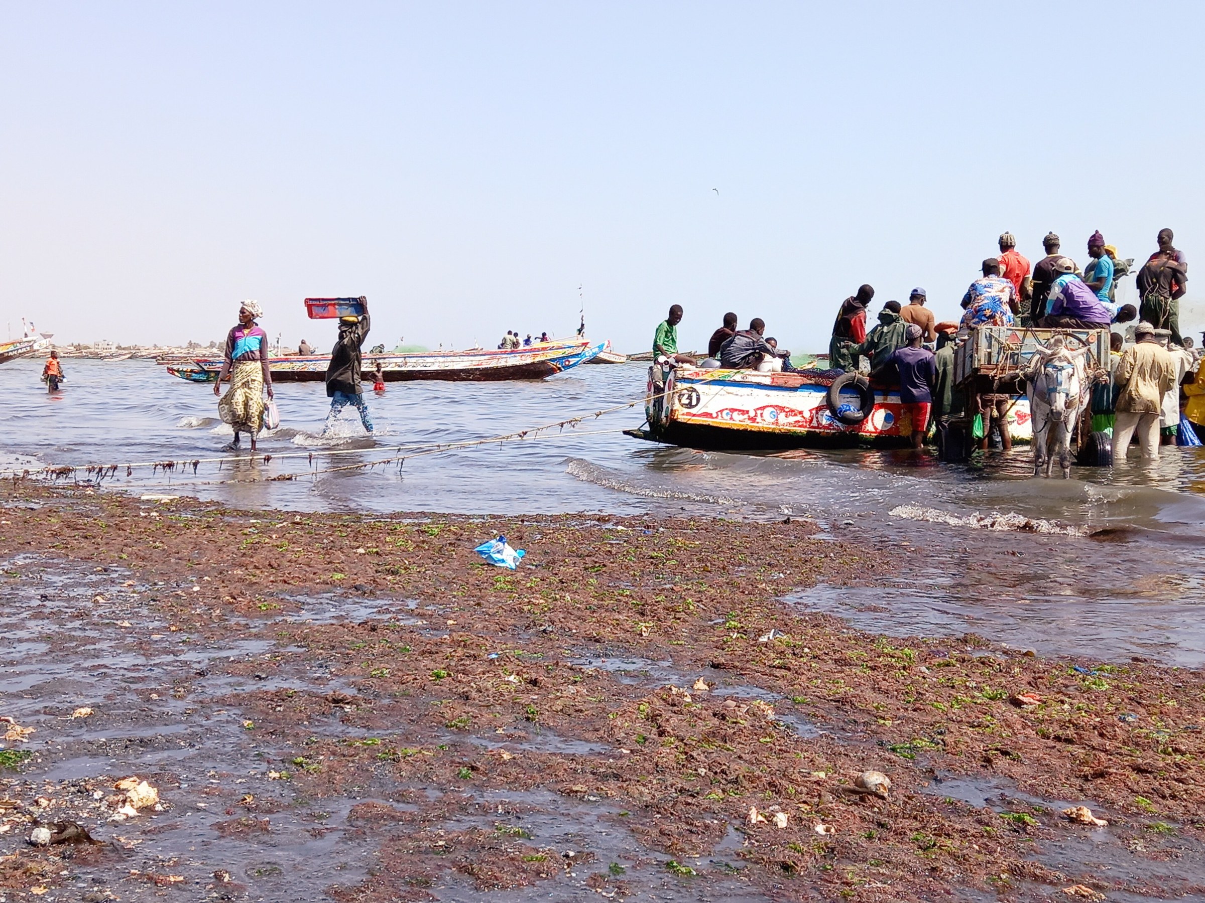 Fishermen and porters unload a pirogue on the beach at Joal, Senegal