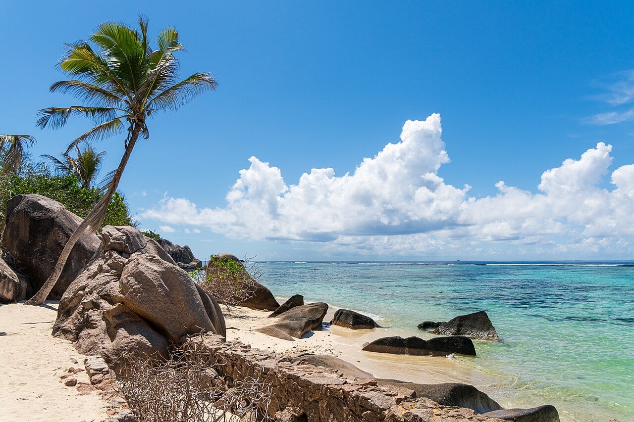 A palm tree leans over granite boulders and pale sand on a beach at Anse Source d'Argent on La Digue, with turquoise sea beyond