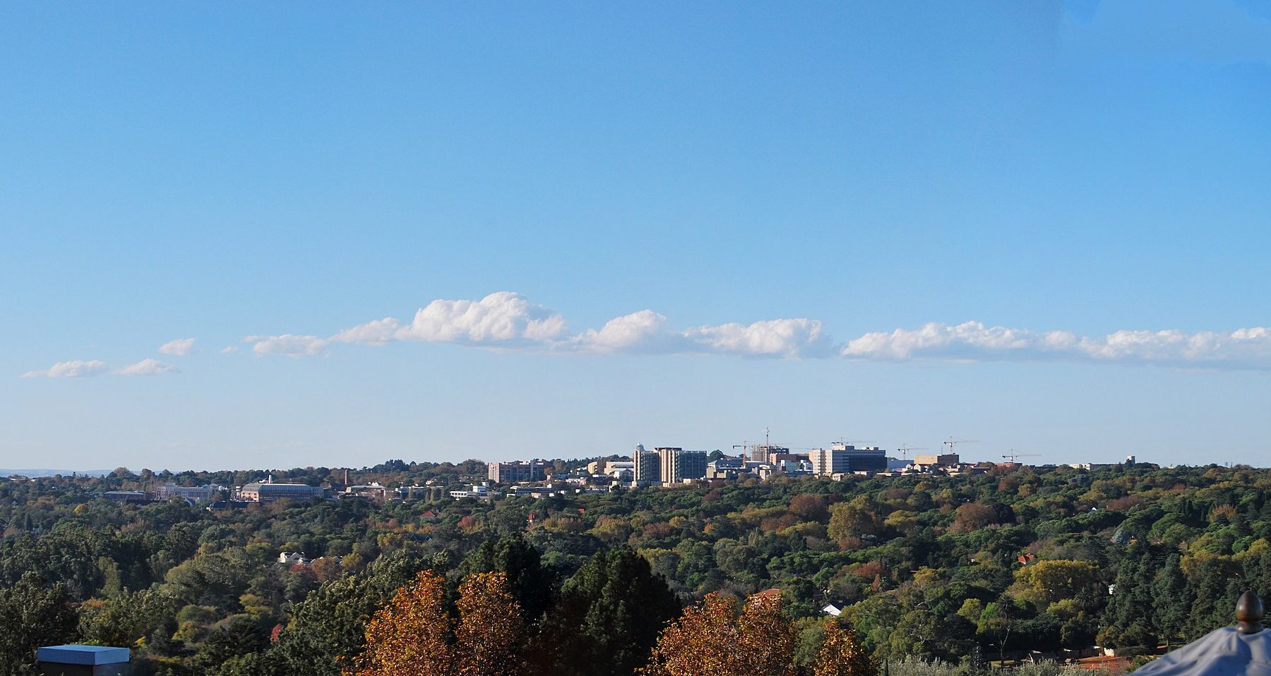 The Sandton skyline in Johannesburg above tree-lined suburbs