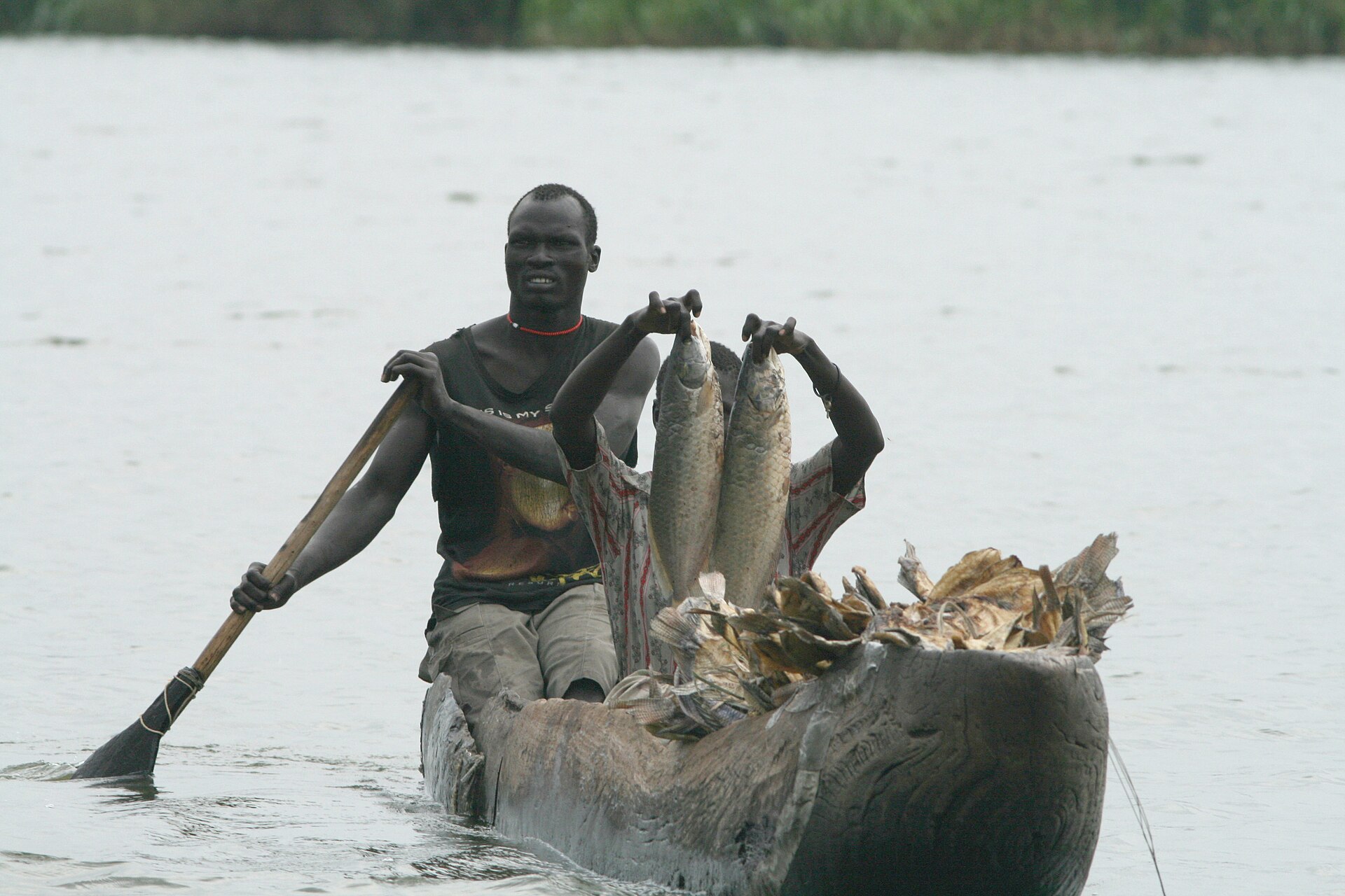 A fisherman paddles a dugout canoe through the Sudd wetland in South Sudan