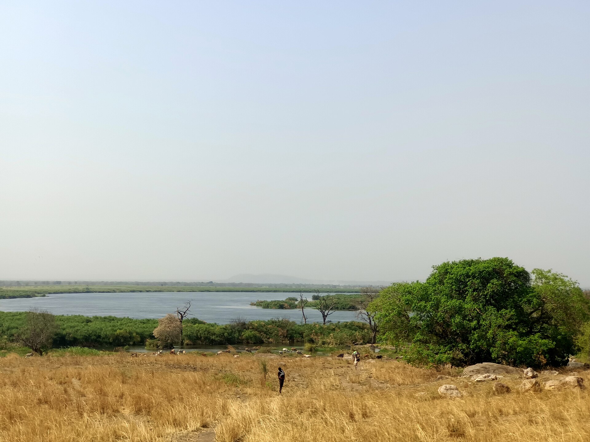 The White Nile at Nimule in South Sudan, near the border with Uganda
