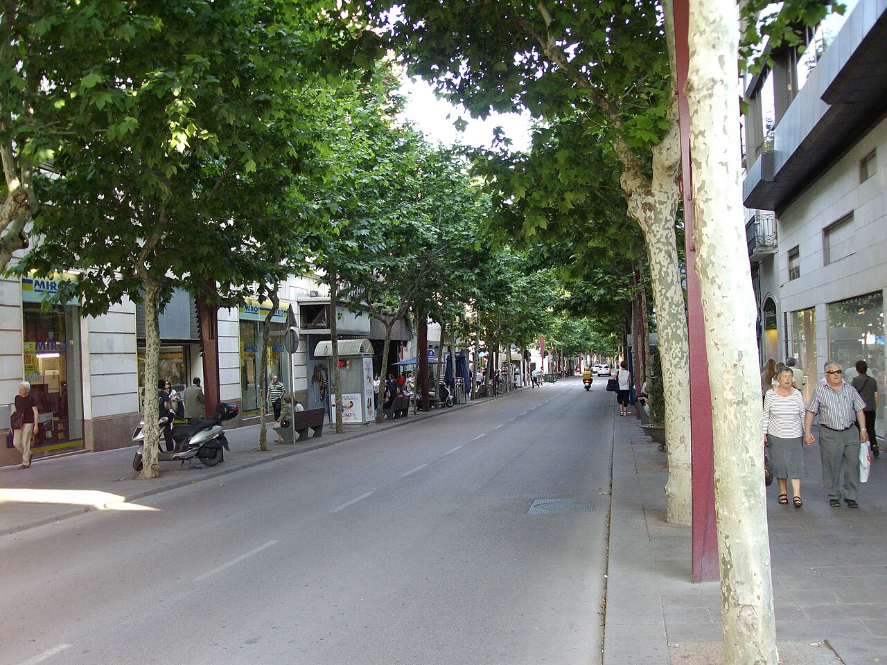 A tree-lined stretch of the Rambla, the main street of Sabadell, with shops and pedestrians on the pavements