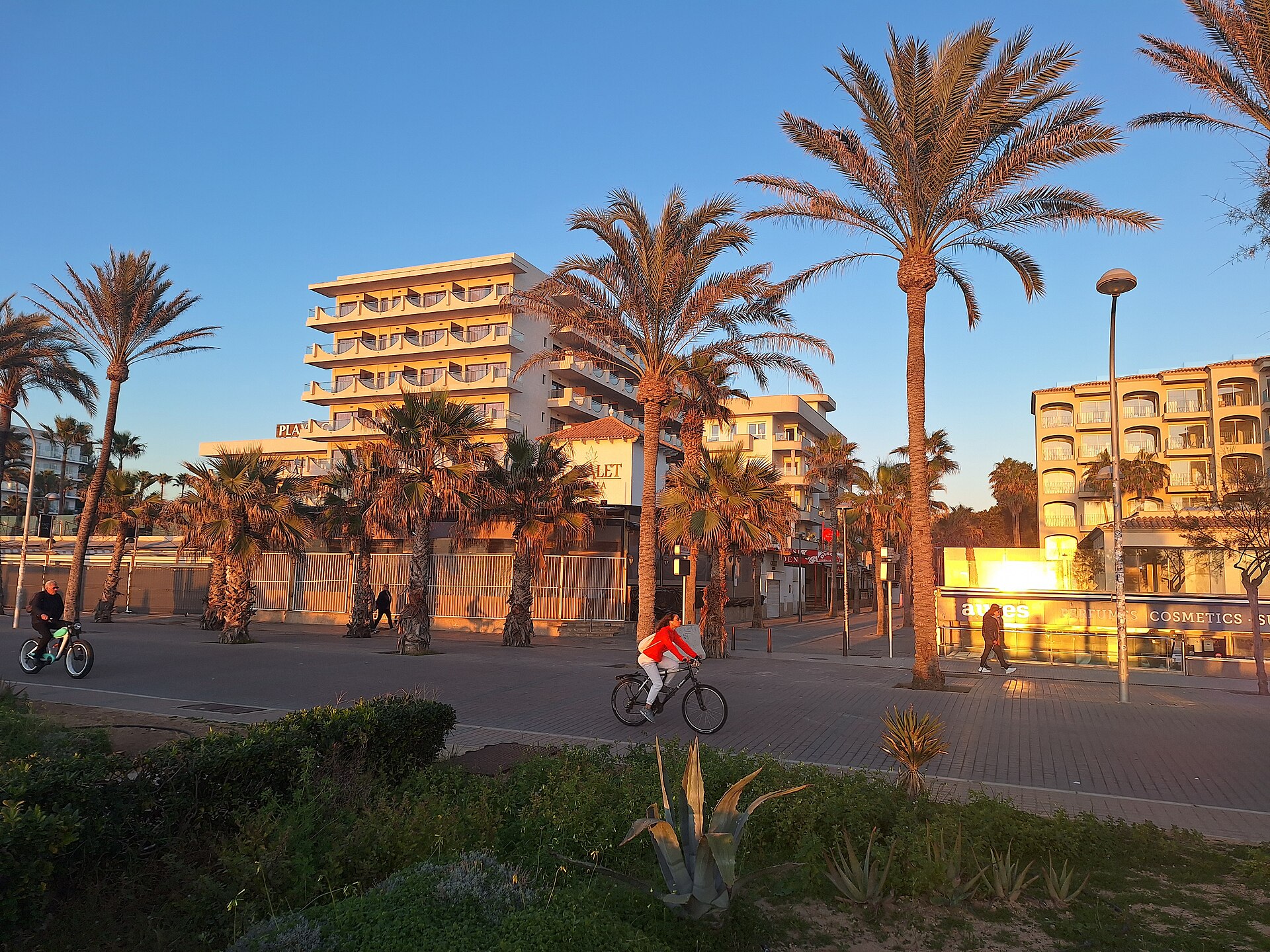Palm trees and a cyclist on the seafront promenade at Platja de Palma in Mallorca, with hotel blocks lit by the evening sun