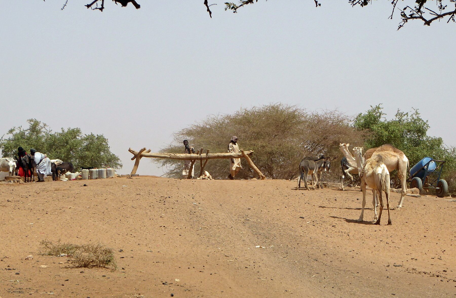 Villagers and camels at a well in rural Sudan, file photo