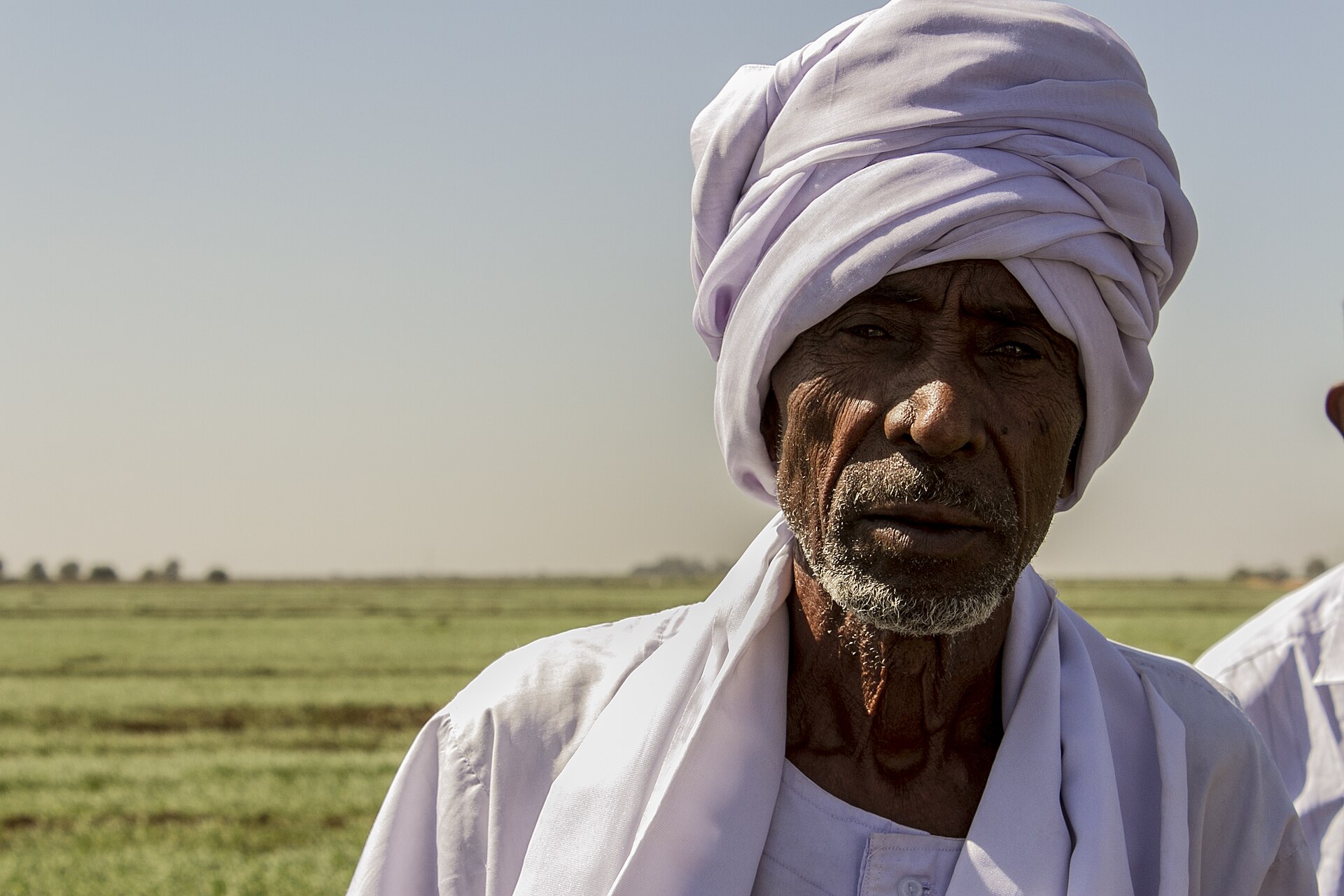 Wheat farmer in a white turban standing in front of a green field in Gezira state, Sudan