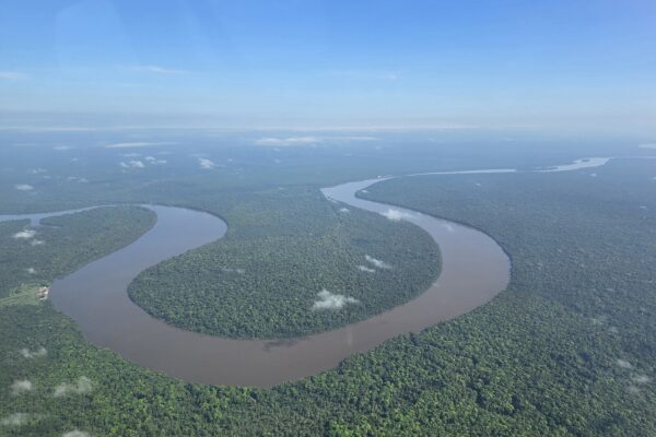 Suriname neighbourhood: the Corantijn River winding through forest on the border with Guyana