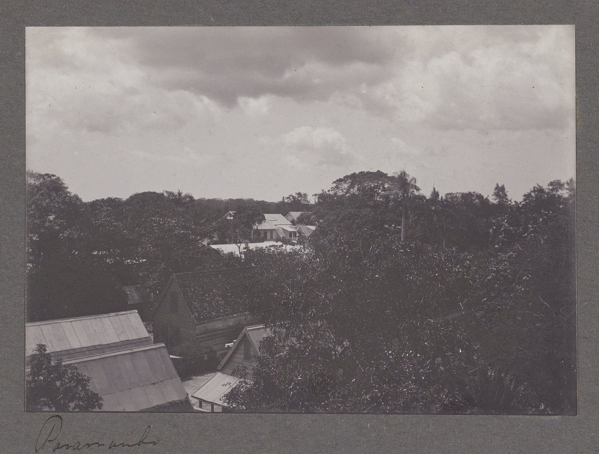 Old black-and-white photo of the rooftops of Paramaribo among dense trees under a cloudy sky, with the word Paramaribo handwritten at the bottom.