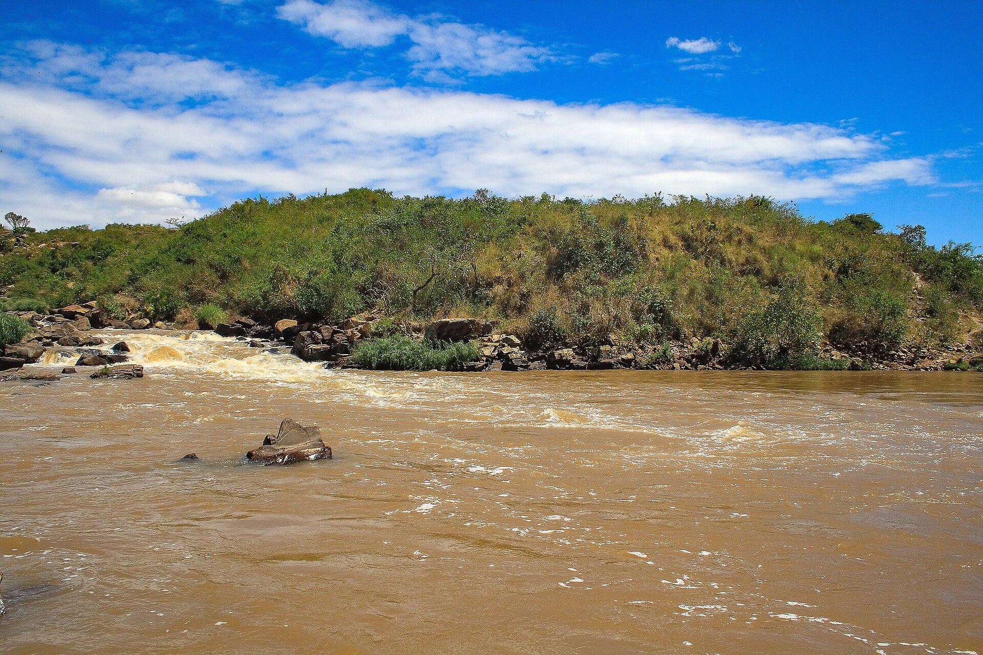 Brown, fast-flowing water of the Nzoia River below a grassy, rocky bank under a blue sky