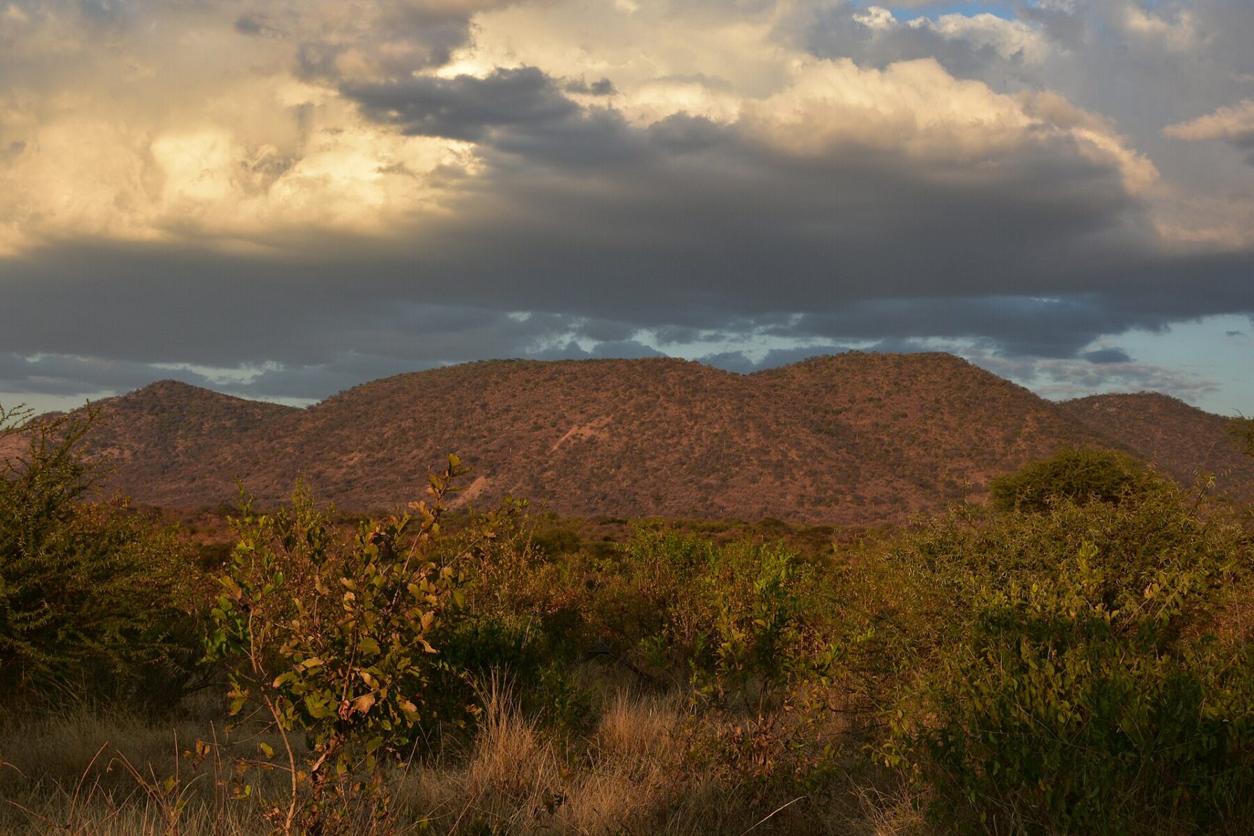 Wooded hills and bushland under storm clouds in Ruaha National Park, Tanzania