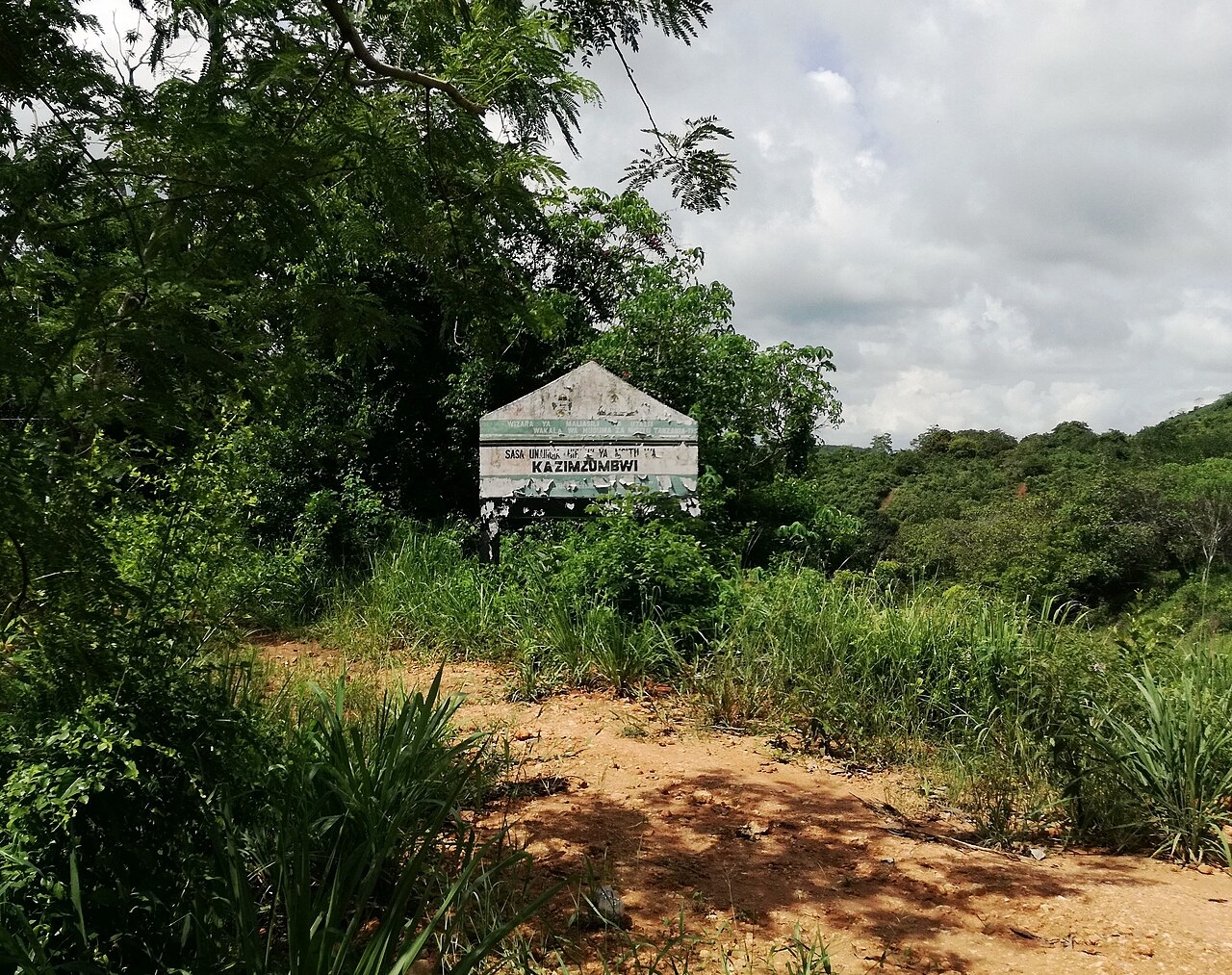 Weathered signboard reading Kazimzumbwi beside a dirt track in green forest in Tanzania