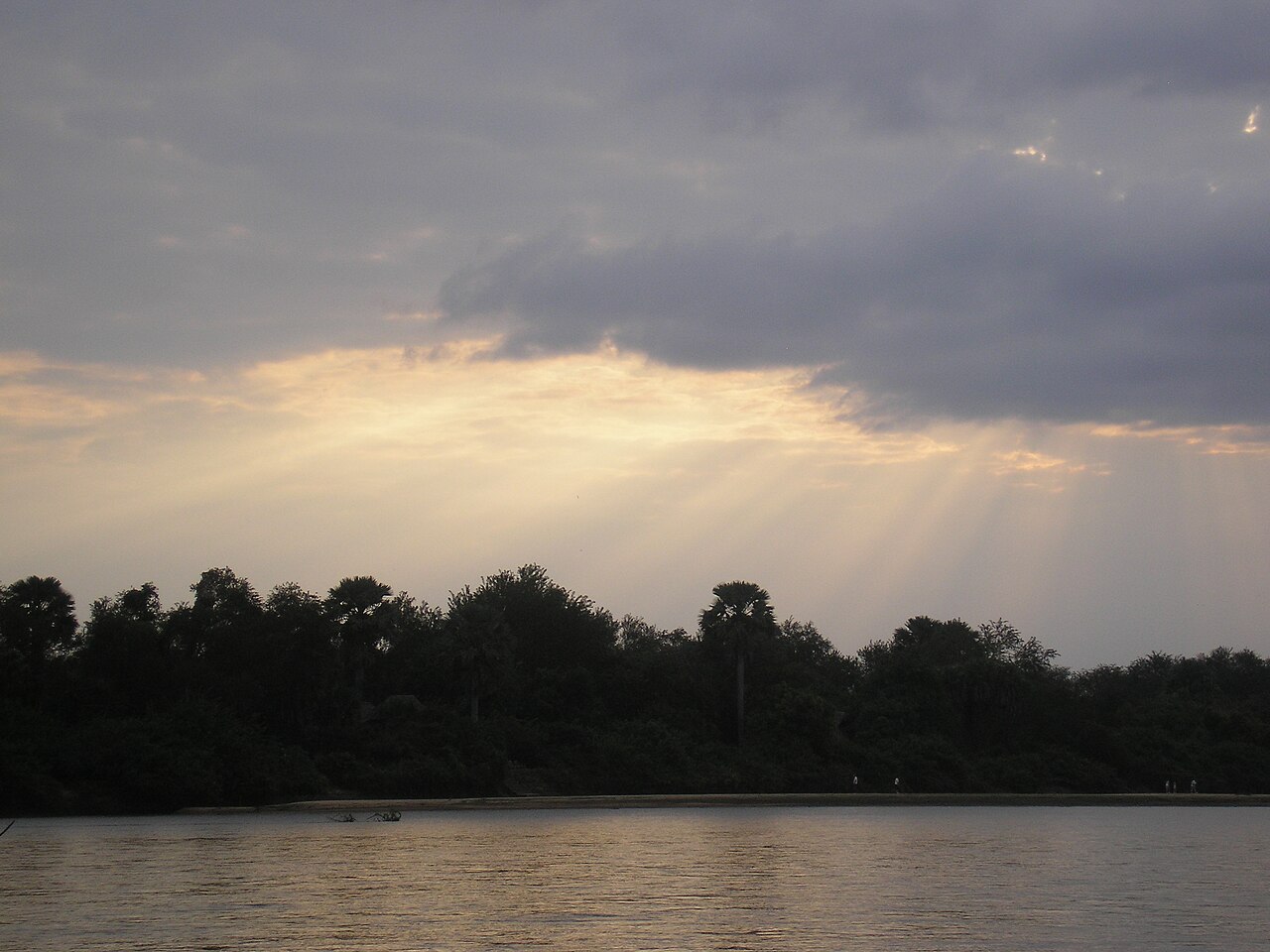 Rufiji River in southern Tanzania at dusk, with palm trees on the far bank under a cloudy sky