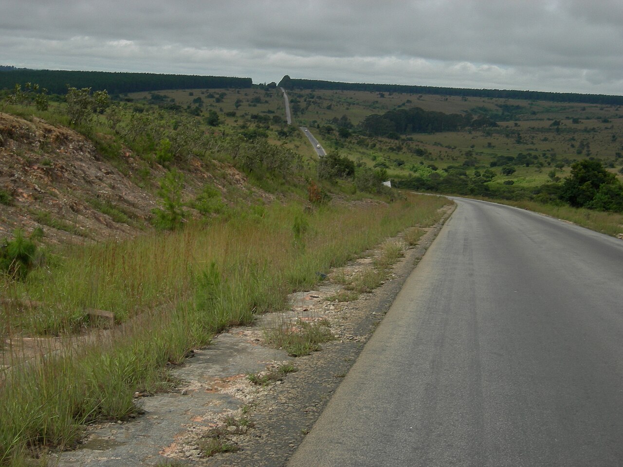 A tarred road winds through grassy hills and pine plantations under an overcast sky in the Southern Highlands near Mbeya, Tanzania