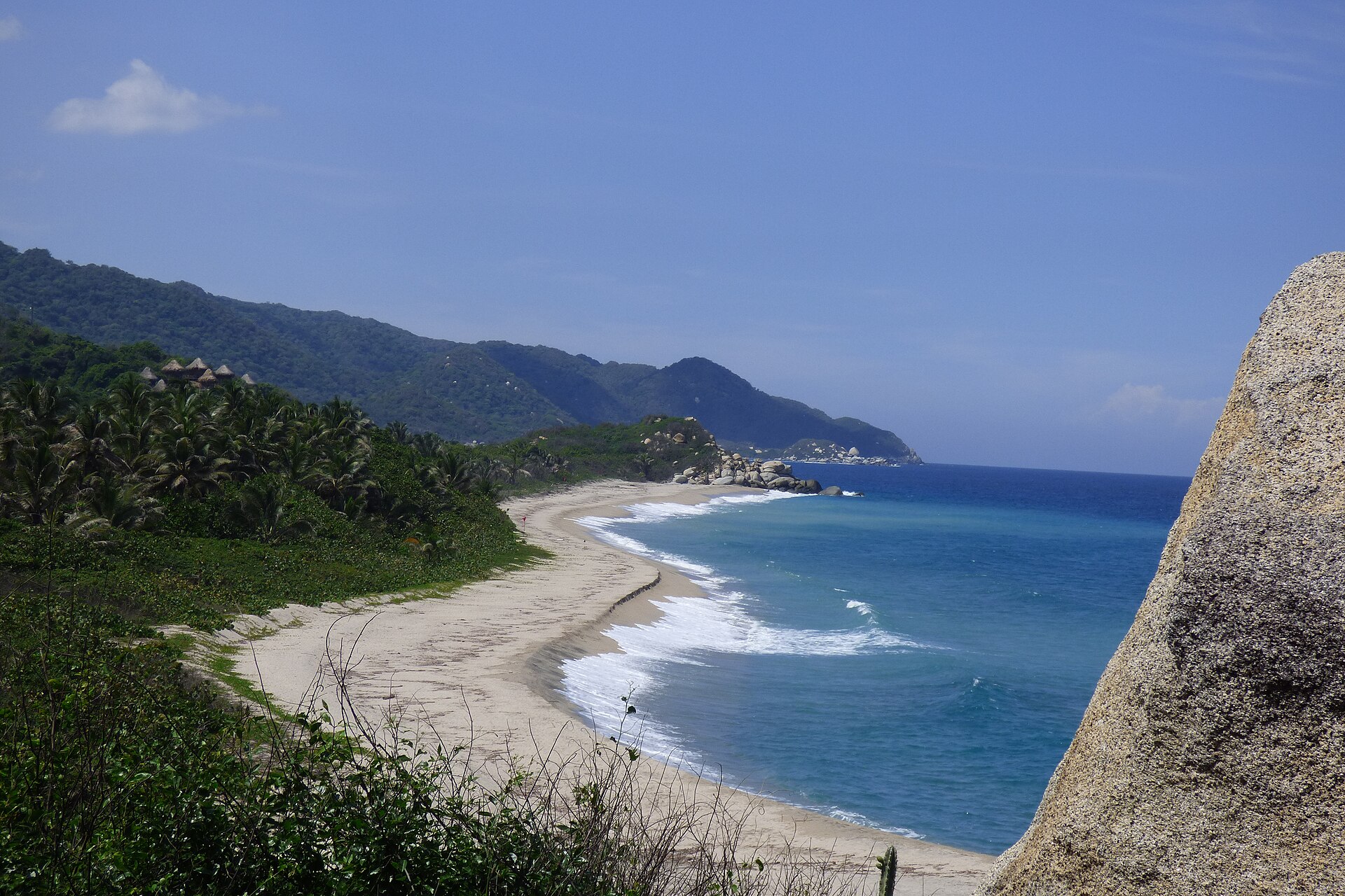 A curved sandy beach lined with palm trees and forested mountains in Tayrona National Park
