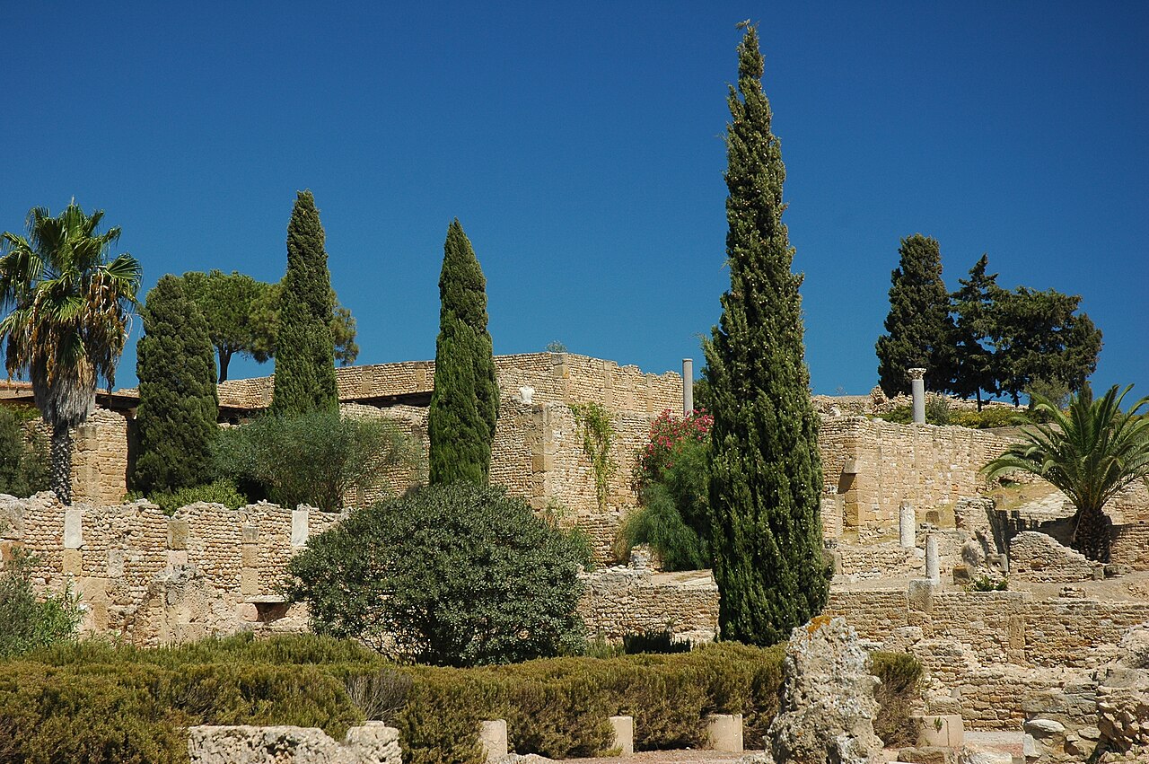 Stone walls and cypress trees among the ruins of ancient Carthage near Tunis