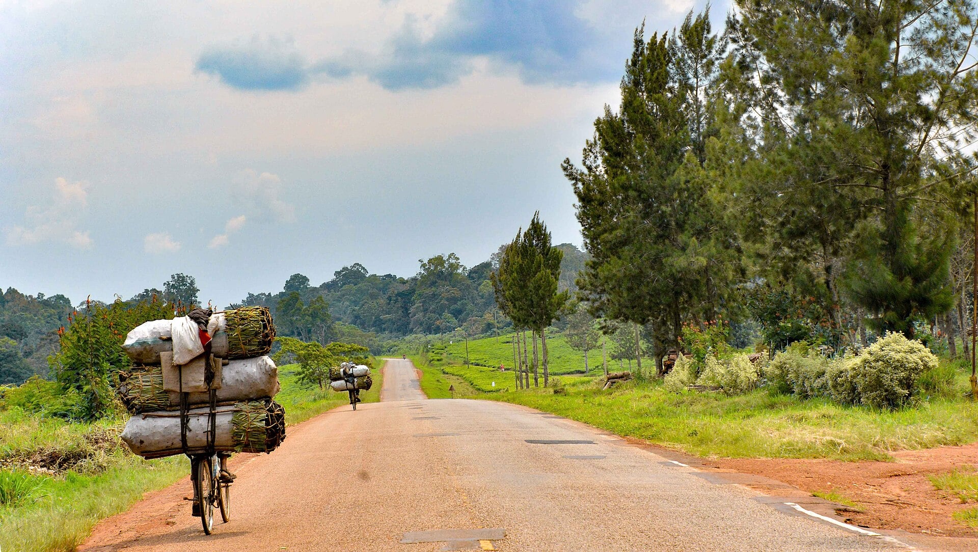 Uganda Speaker Halts Charcoal Ban for 7 Days