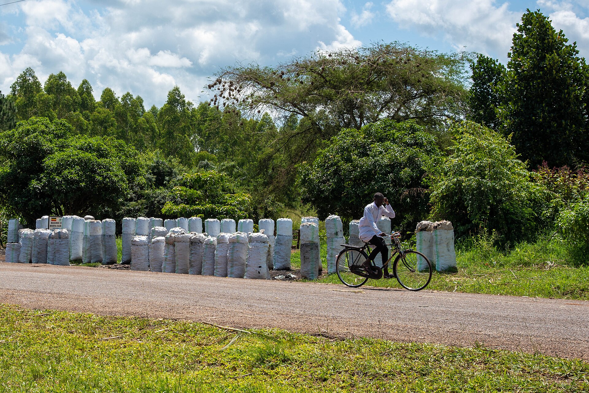 Rows of charcoal sacks stacked for sale beside a road in Masindi District, Uganda, as a man cycles past