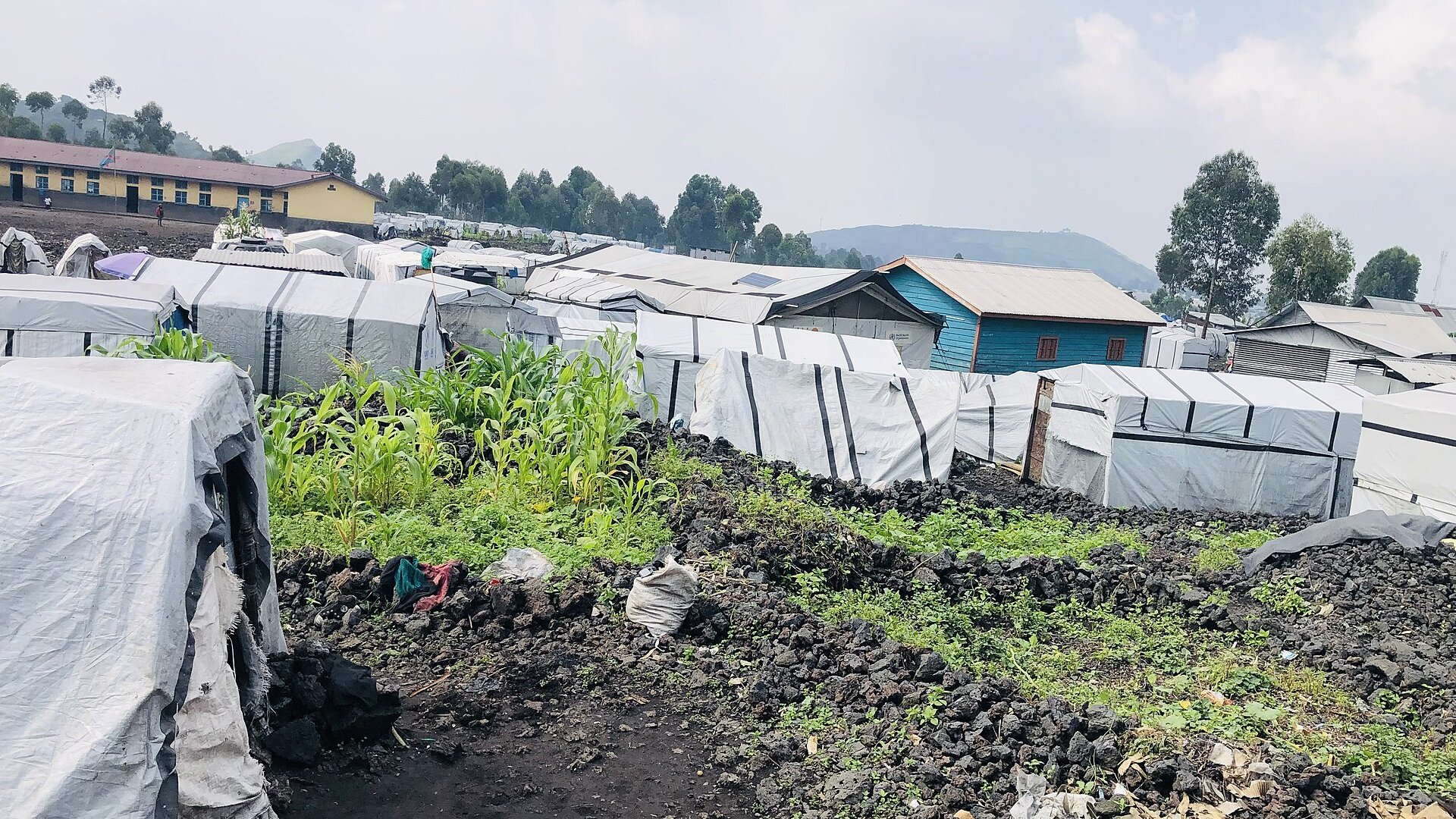 Rows of white tarpaulin shelters at a camp for displaced people on black volcanic rock near Goma, with a school building and green hills behind