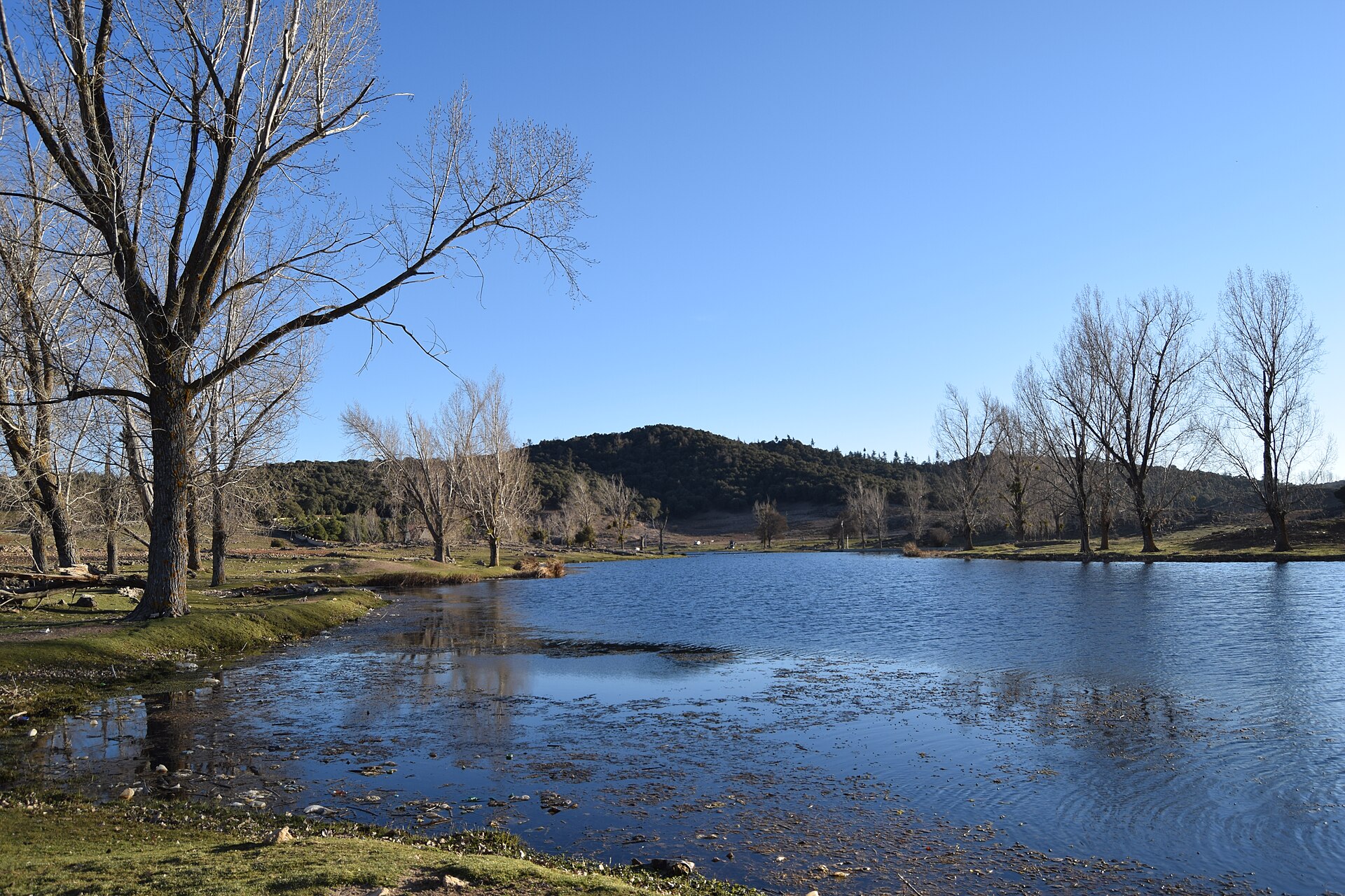 A lake with bare trees and a wooded hill under a clear blue sky near Ifrane