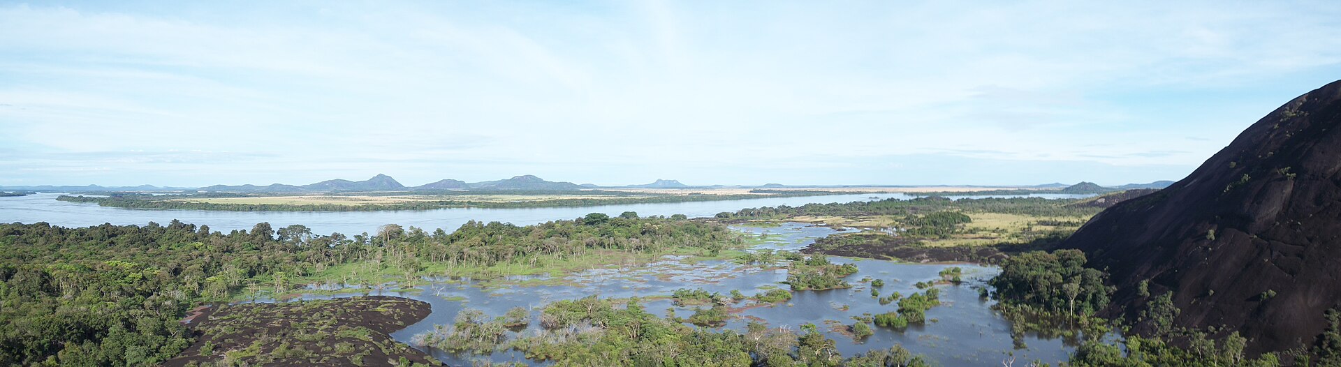 Orinoco River and flooded forest in Amazonas state, Venezuela