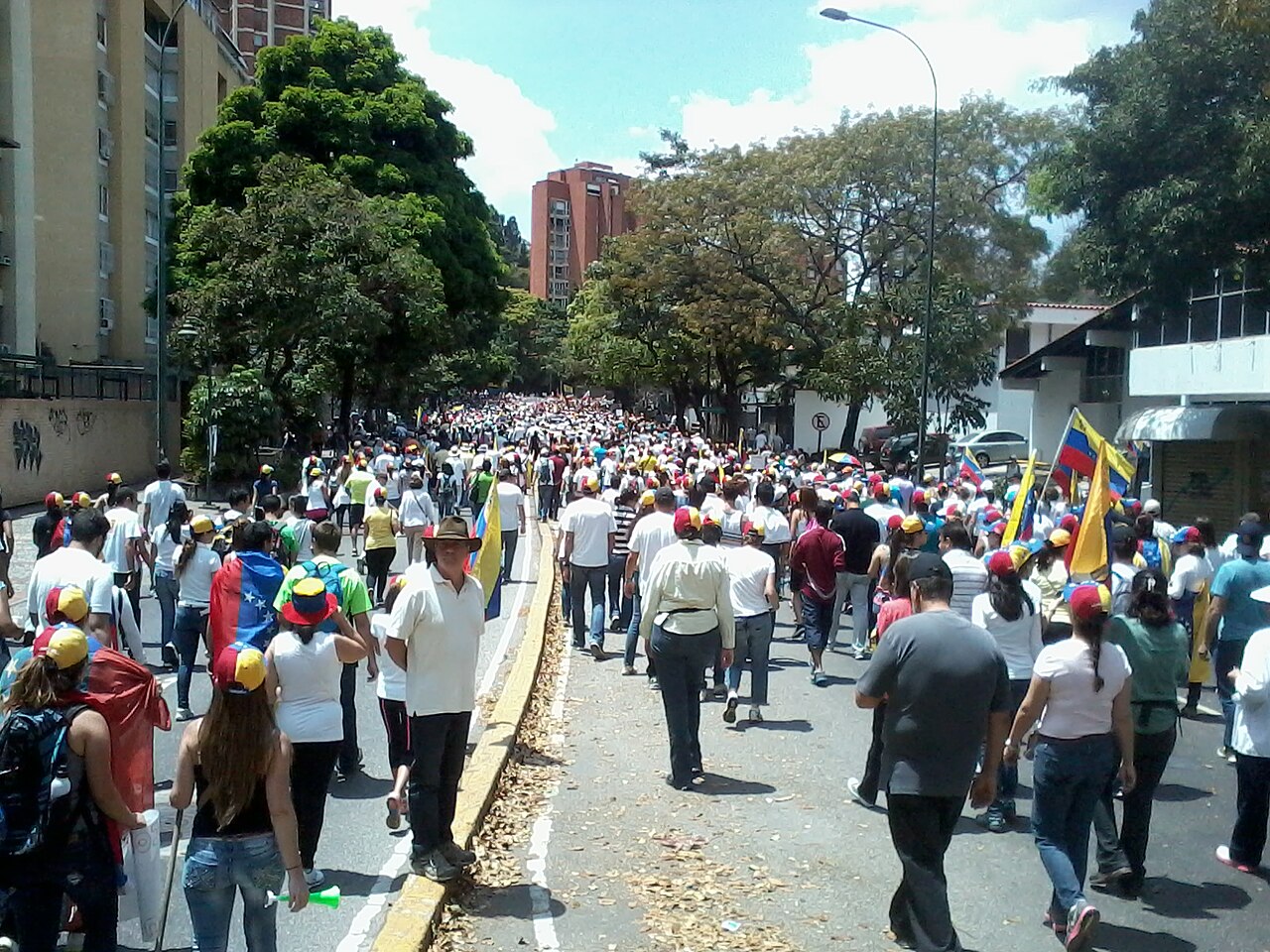 A large crowd of opposition marchers fills a tree-lined street in Venezuela