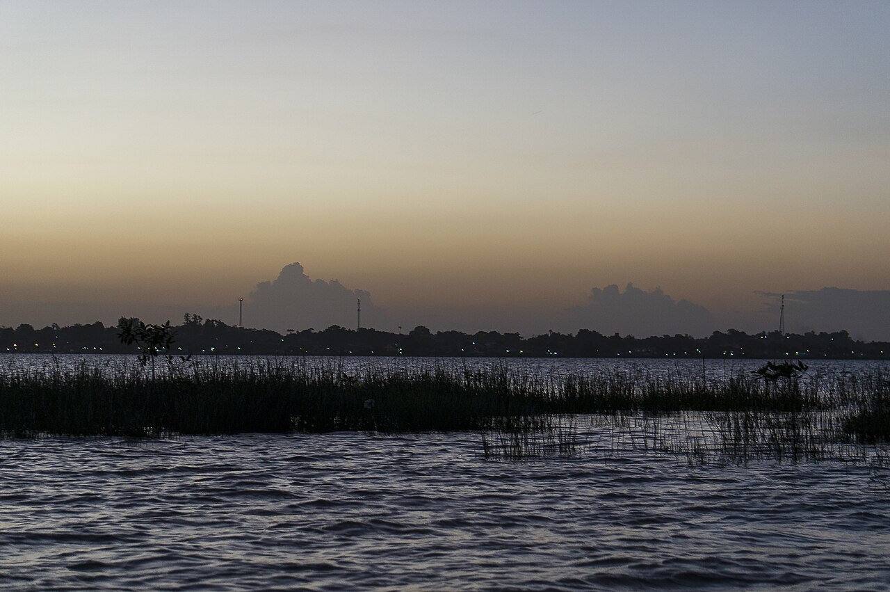 Dusk over the wide Essequibo River at Bartica, Guyana, with reeds in the foreground and lights along the far bank