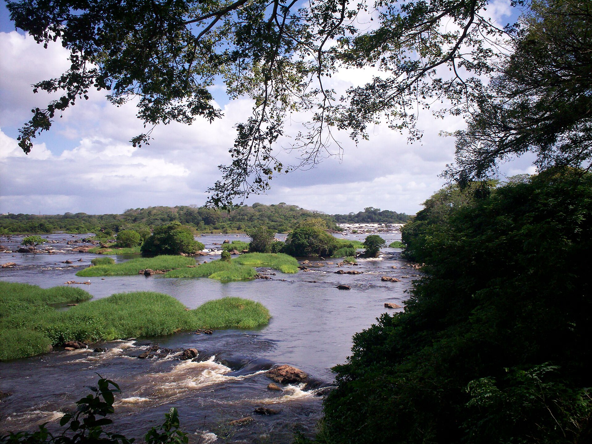 The Caroní River with grassy islets and rapids seen from Cachamay Park in Bolívar state, Venezuela
