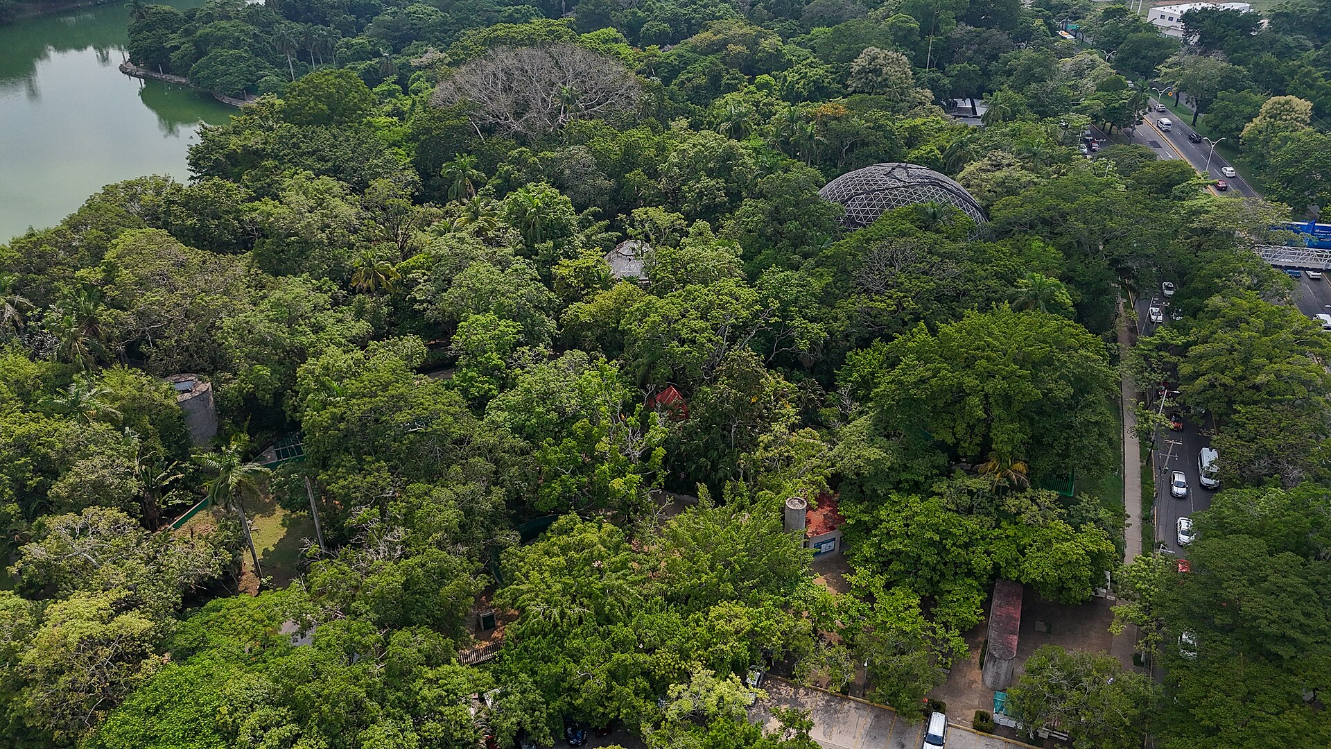 Aerial view of tree-covered parkland beside a lagoon and a road in Villahermosa, Tabasco