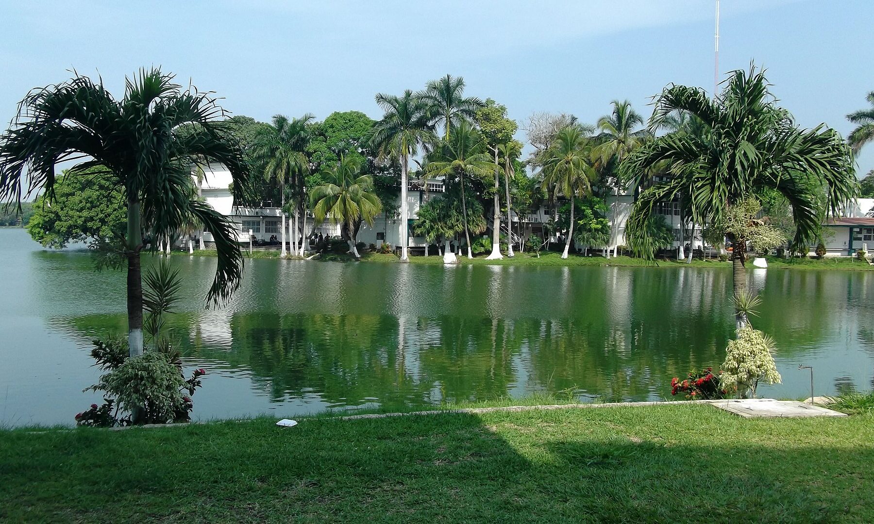 Palm trees and university buildings beside the Laguna de las Ilusiones in Villahermosa, Tabasco