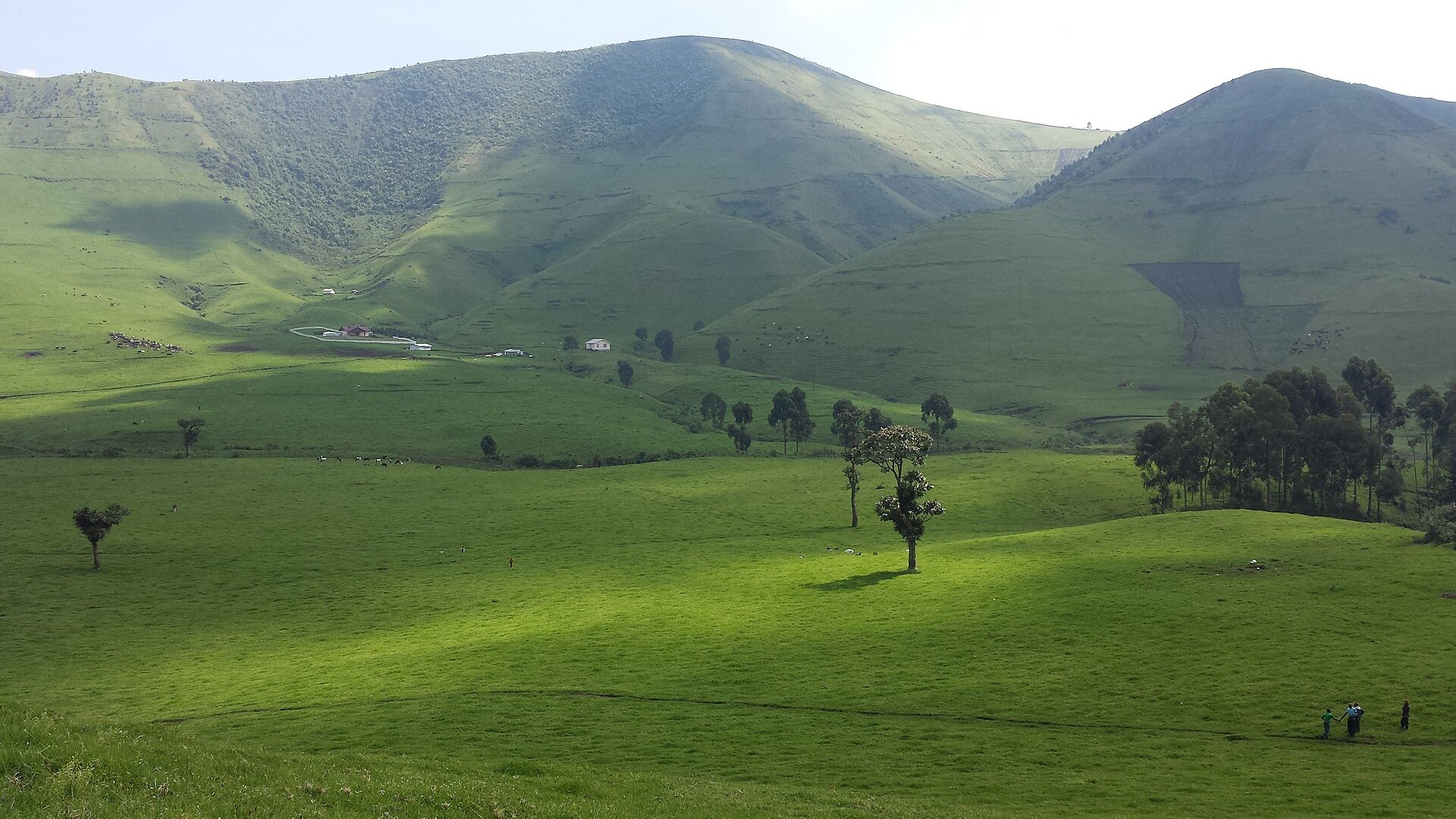 Green hills and pasture in Masisi territory, North Kivu, DR Congo, with huts and walkers on a path
