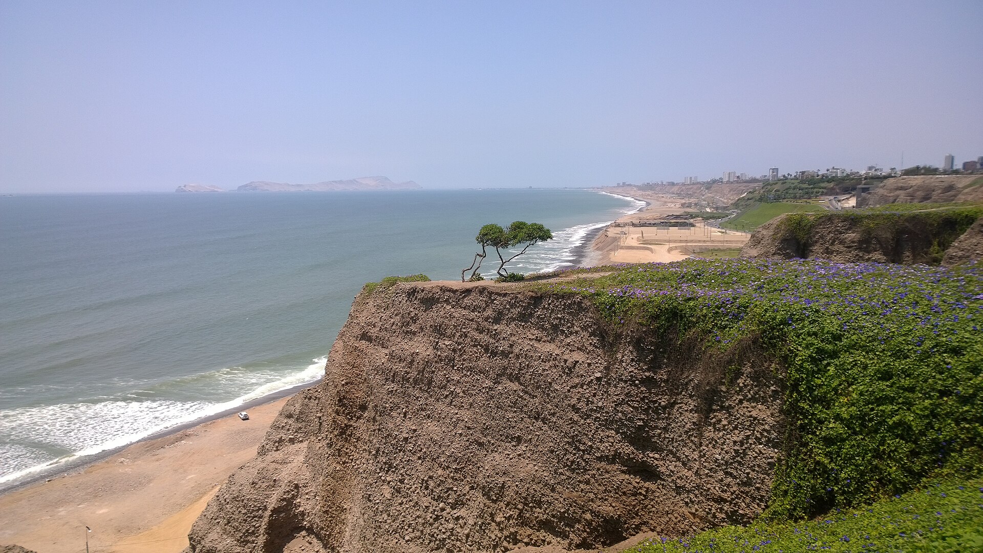 A sandy cliff with green plants and purple flowers above a beach and the Pacific, with islands on the horizon and buildings on the right