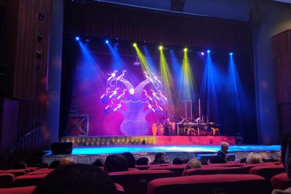 A theatre stage lit by blue and yellow spotlights in front of a stylised tree backdrop with birds, seen over rows of red seats with audience members