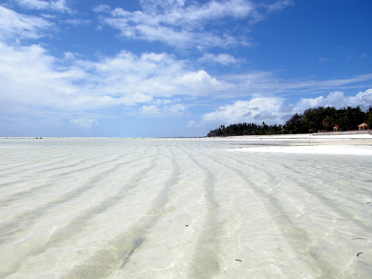 Shallow clear water over white sand at low tide on Paje beach, Zanzibar, with trees along the shore.